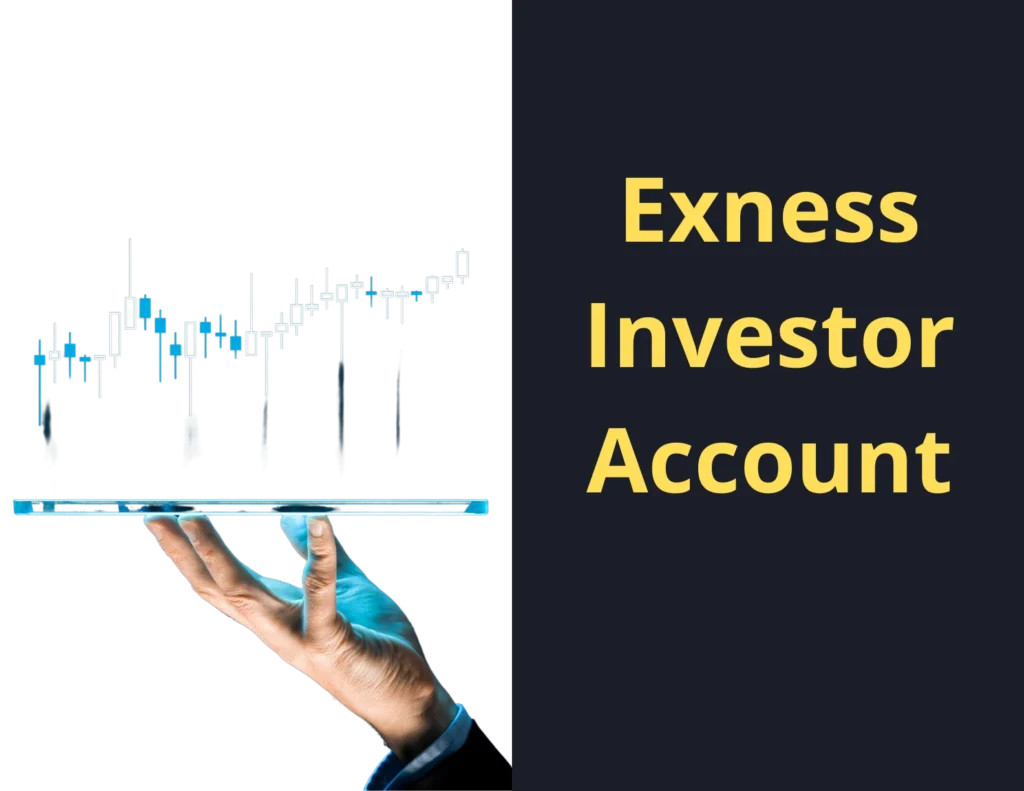 Exness Investor Account